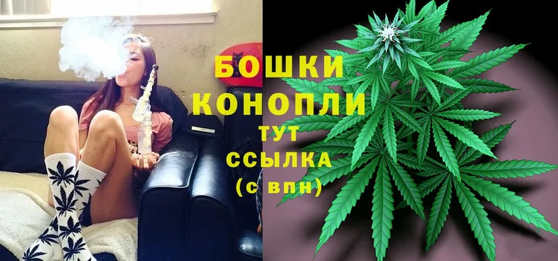 где купить наркоту  Зеленодольск  Марихуана White Widow 